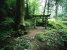 \"Forest Shrine\": Welcome to Our Image Gallery